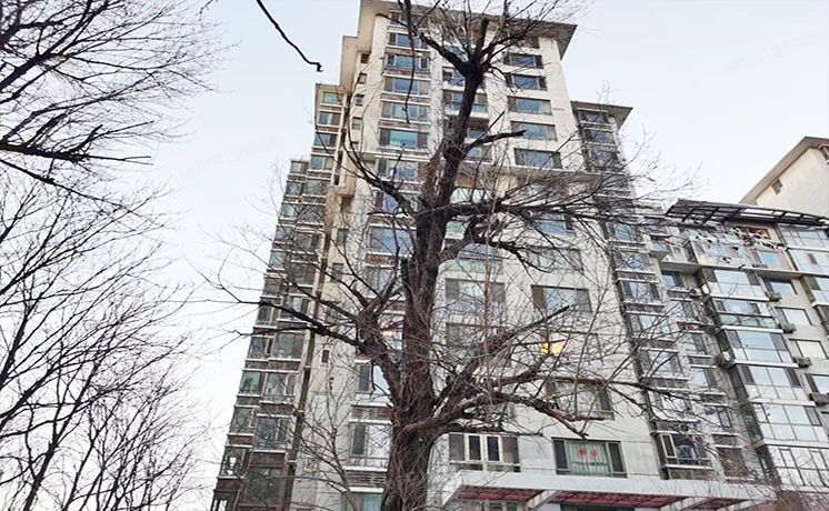 朝阳区 双桥东路12号院16号楼12层3单元1501（东一时区）