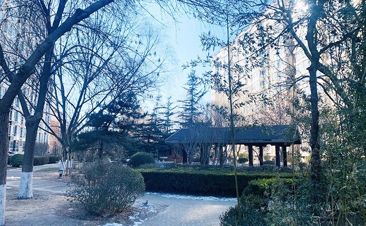 朝阳区 林萃西里28、29号楼及2号平台28号楼7层6-702（澳林春天）