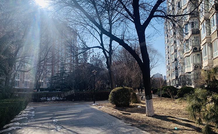 朝阳区 林萃西里28、29号楼及2号平台28号楼7层6-702（澳林春天）