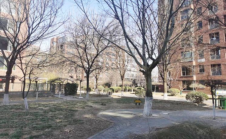 朝阳区 南湖西园235号楼2层202（北京香颂）