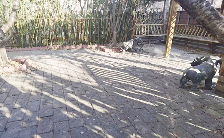 朝阳区 高碑店路181号院255号楼-1至3层102（中海安德鲁斯庄园）别墅