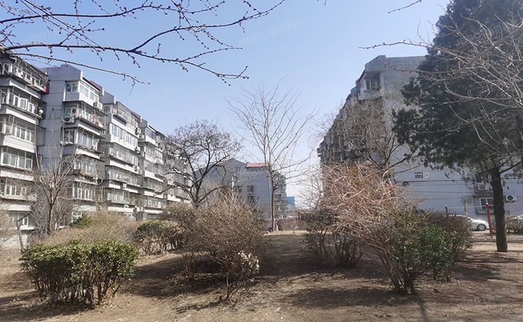 顺义区 西辛南区35号楼6层六单元602室（西辛南区）