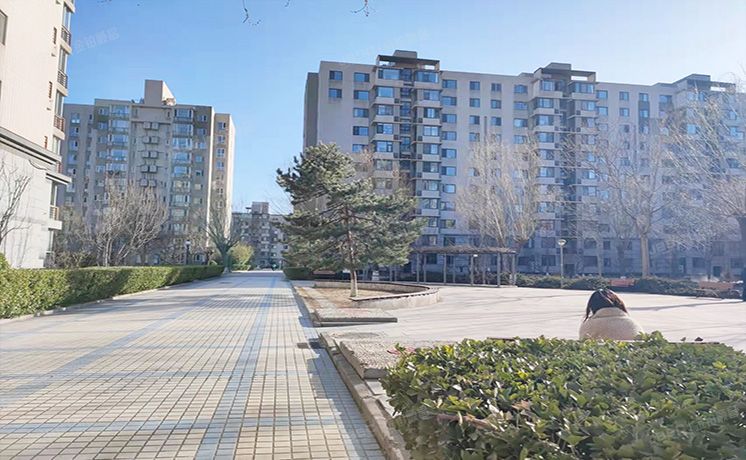 海淀区 上河村一区2号楼10层4单元1002室（鲁艺上河村）