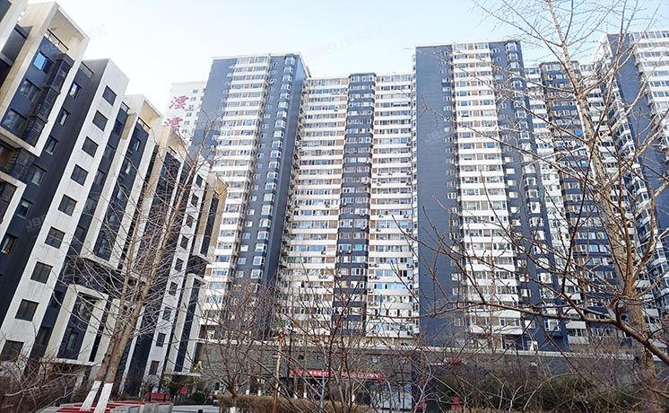 海淀区 莲宝路9号院4号楼14层1607（沄沄国际）