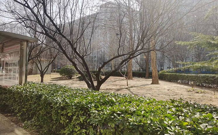 海淀区 林业大学北路18号院2号楼10层4单元1001（文成杰座）