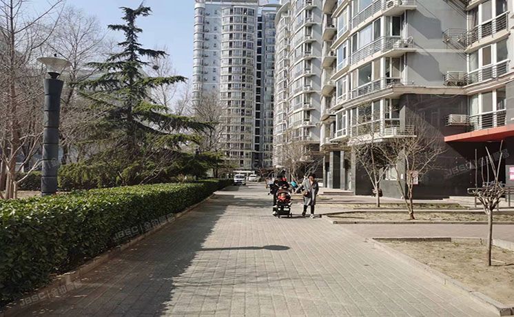 海淀区 林业大学北路18号院2号楼10层4单元1001（文成杰座）