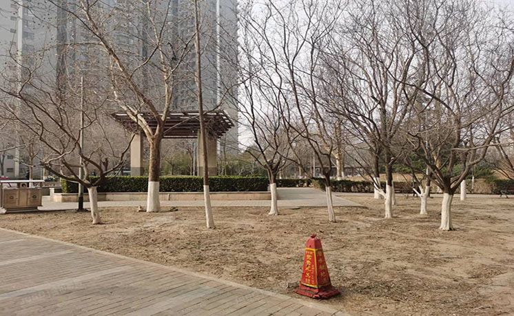 通州区 京州园191号楼15层3单元1505（通景园）经适房