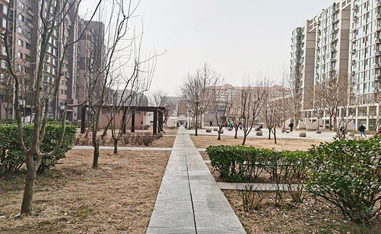 东城区 西花市南里东区15号楼4层8单元404（新景家园）