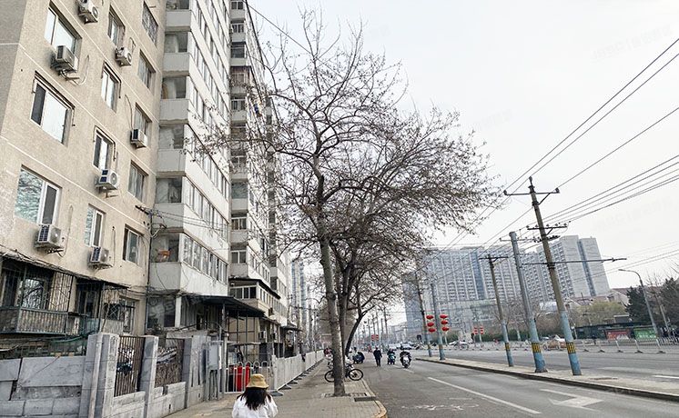 朝阳区 新东路4号楼9层903号 房改房