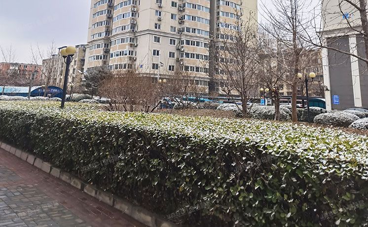 朝阳区 武圣西里28号院2号楼10层1008（紫东苑）