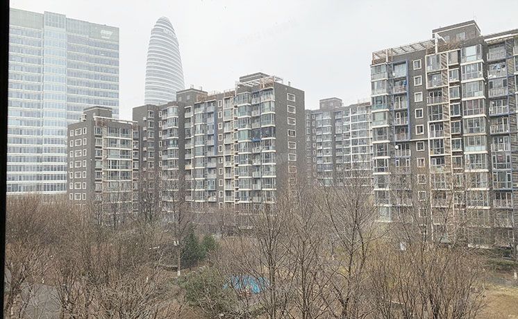 朝阳区 望京东园六区613号楼502号（国风北京）