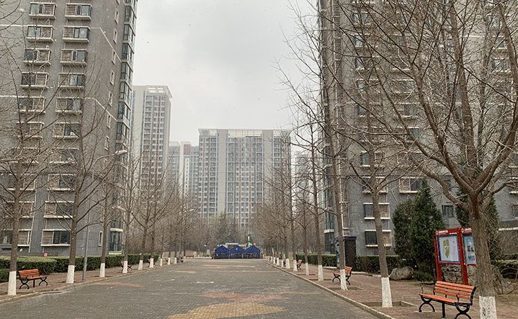 朝阳区 望京东园六区613号楼502号（国风北京）