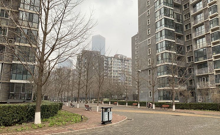 朝阳区 望京东园六区613号楼502号（国风北京）