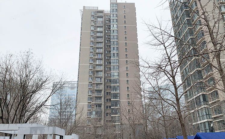 朝阳区 望京东园六区613号楼502号（国风北京）