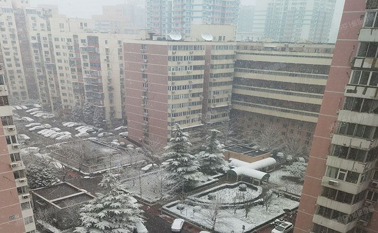 朝阳区 潘家园28号楼12层3门12H（濠景阁）