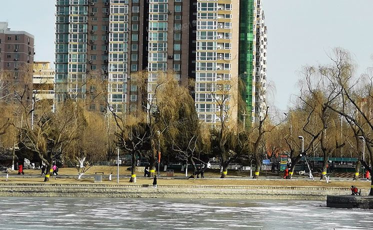 朝阳区 潘家园28号楼12层3门12H（濠景阁）