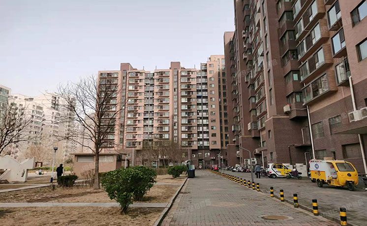 东城区 西花市南里东区11号楼3层2单元304（新景家园）