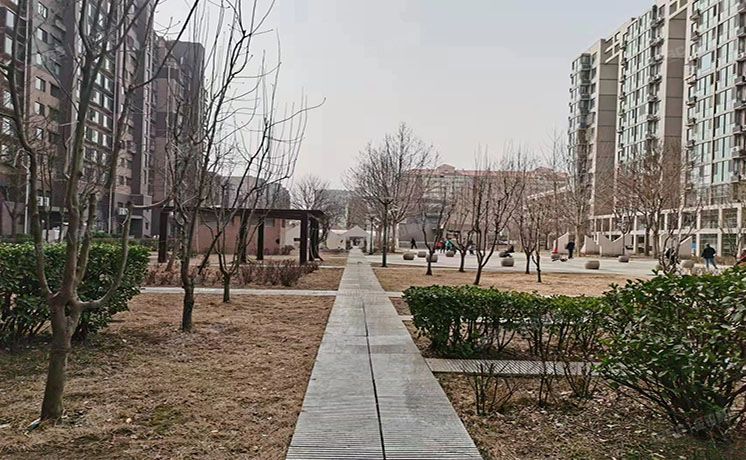 东城区 西花市南里东区11号楼3层2单元304（新景家园）