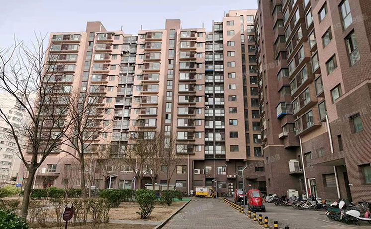 东城区 西花市南里东区11号楼3层2单元304（新景家园）