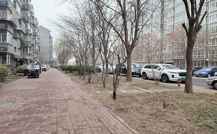 通州区 群芳一园29号楼1-162室（花涧溪）