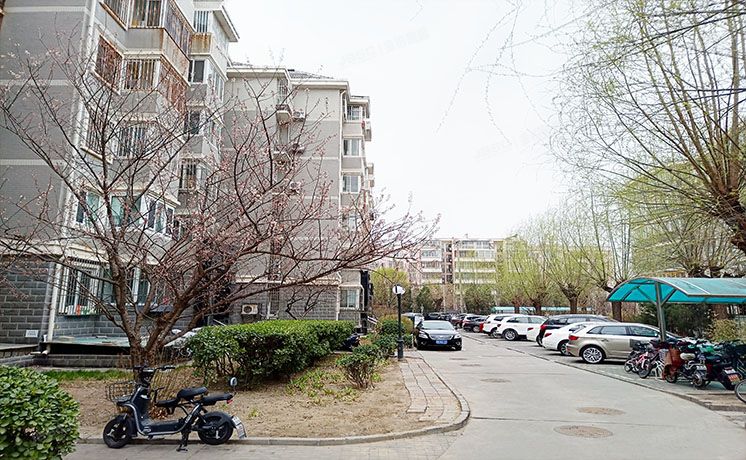 海淀区 采石路8号院3号楼4门302（泽丰苑）