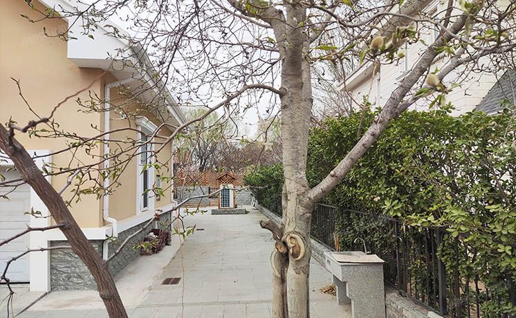 大兴区 庞各庄镇龙景湾甲区15号楼-1至2层（龙熙顺景）独栋别墅