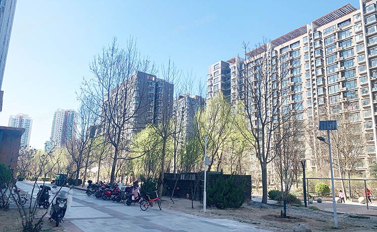 丰台区 鸿业兴园10号楼15层3单元1501号（鸿业兴园）