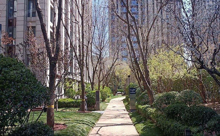 海淀区 中关村东路16号院8号楼11层1201（龙湖唐宁one）