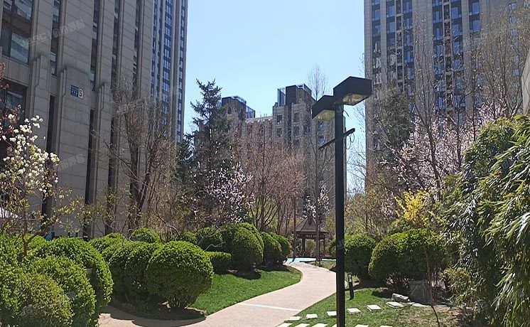 海淀区 中关村东路16号院8号楼11层1202（龙湖唐宁one）