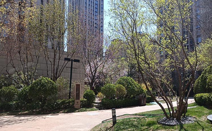 海淀区 中关村东路16号院8号楼11层1202（龙湖唐宁one）