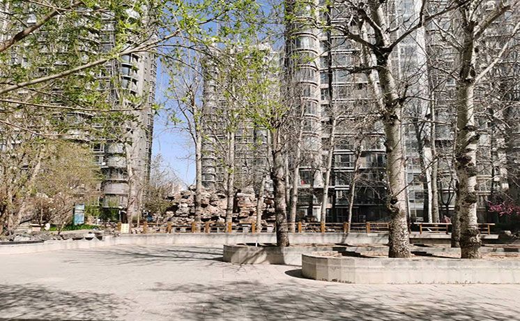 朝阳区 望京西路50号院10号楼19至20层1单元2202（鹿港嘉苑）