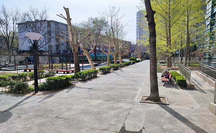 海淀区 西三环北路50号院8号楼4层505（豪柏大厦）