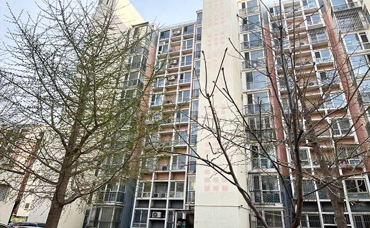 大兴区 丽园B区10号楼2层1单元202（丽园B区）