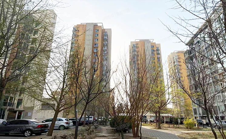 大兴区 丽园B区10号楼2层1单元202（丽园B区）