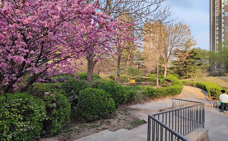 通州区 运河湾北区7号楼13层2单元1303