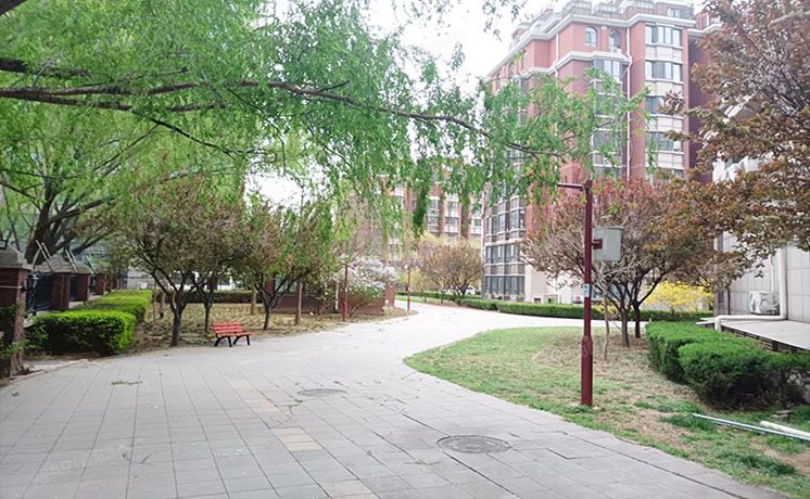 海淀区 蓝靛厂南路39号院4号楼9层1-901（玫瑰御园）