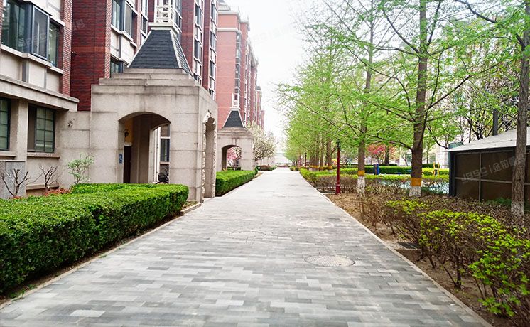 海淀区 蓝靛厂南路39号院4号楼9层1-901（玫瑰御园）