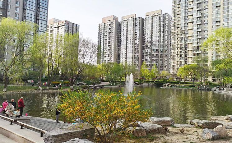 朝阳区 东四环北路88号8号楼21层一单元2501（观湖国际）