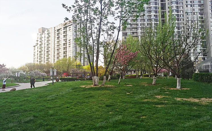 朝阳区 东四环北路88号8号楼21层一单元2501（观湖国际）