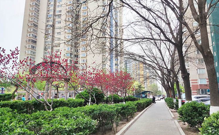 丰台区 西局欣园南区4号楼3层2单元302（西局欣园南区）