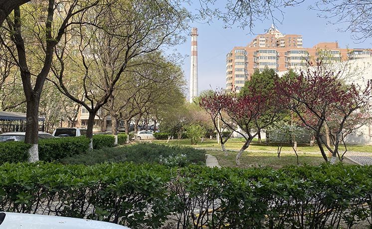 朝阳区 紫绶园3号楼4层405号