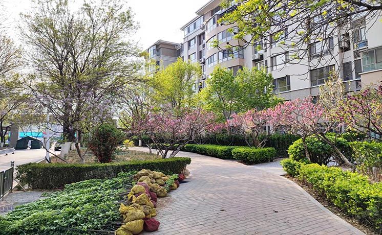 海淀区 冷泉林语山庄二区1号楼4层03单元502（保利西山林语）