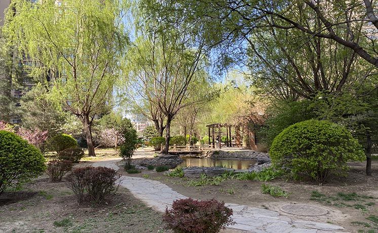 朝阳区 慈云寺1号院1号楼23-2304室（东区国际）