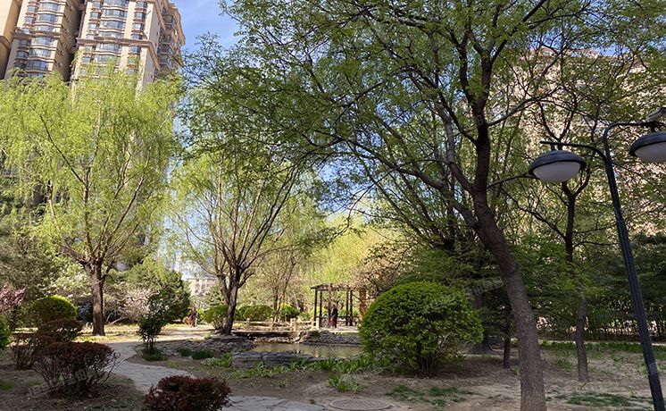 朝阳区 慈云寺1号院1号楼23-2304室（东区国际）