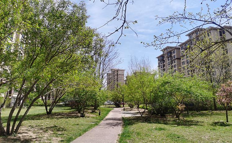 顺义区 顺恒大街7号院10号楼6层一单元602（鲁能7号院颐景溪园）