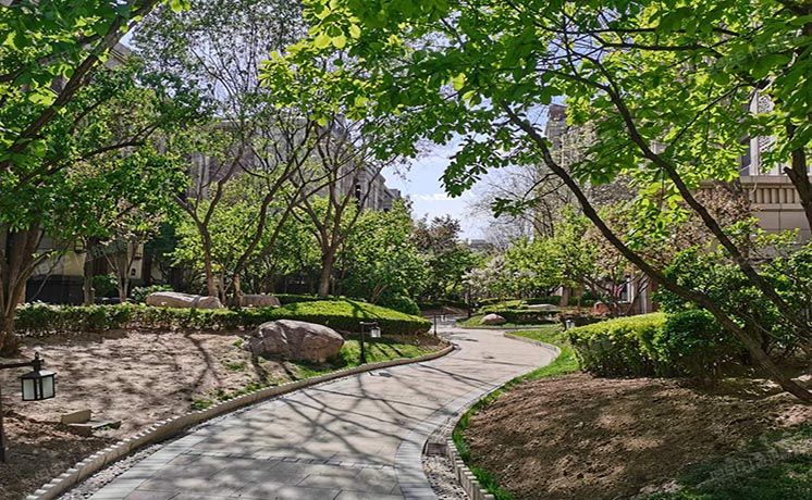 朝阳区 西大望路42号院4号楼4层2单元401（鸿坤花语墅）