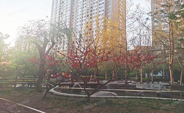 朝阳区 光华路甲9号1号楼9层10D公寓（世贸国际公寓）