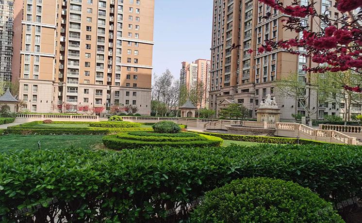 朝阳区 科荟路8号1号楼9层904（荣尊堡）