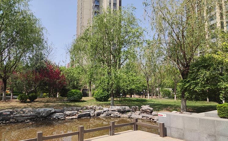 大兴区 枣园巷3号院4号楼7层1单元701（中建国际港）