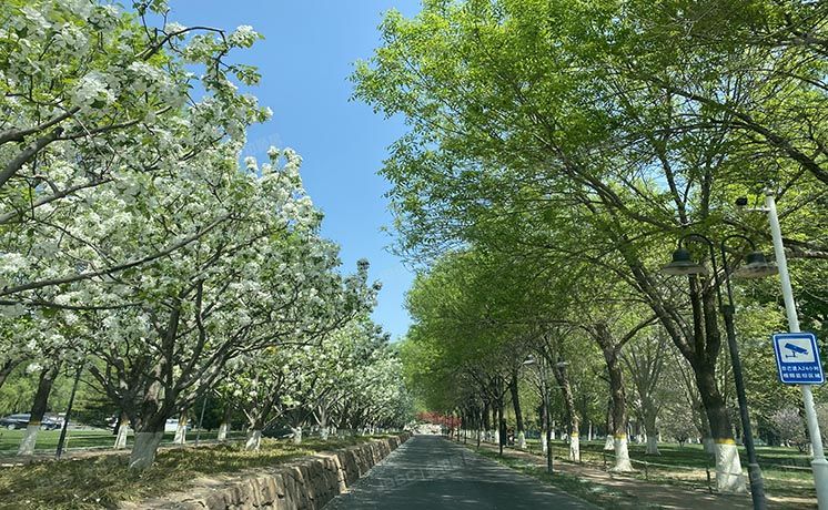 朝阳区 辛店路1号朗月园17栋-1至3层17-7号（亚运新新家园）别墅